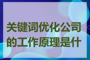 关键词优化公司的工作原理是什么