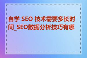 自学 SEO 技术需要多长时间_SEO数据分析技巧有哪些