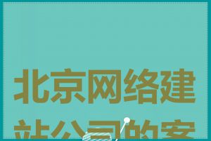 北京网络建站公司的案例