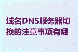 域名DNS服务器切换的注意事项有哪些