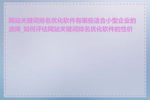 网站关键词排名优化软件有哪些适合小型企业的选择_如何评估网站关键词排名优化软件的性价比