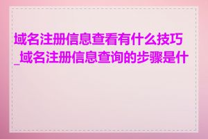 域名注册信息查看有什么技巧_域名注册信息查询的步骤是什么