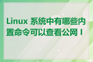 Linux 系统中有哪些内置命令可以查看公网 IP