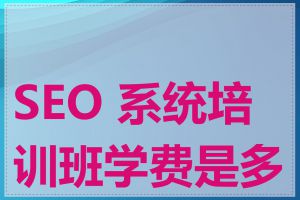 SEO 系统培训班学费是多少