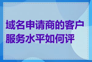 域名申请商的客户服务水平如何评估