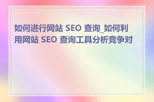 如何进行网站 SEO 查询_如何利用网站 SEO 查询工具分析竞争对手