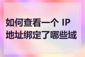 如何查看一个 IP 地址绑定了哪些域名