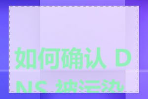 如何确认 DNS 被污染了