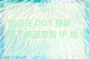 如何在 DOS 提示符下快速查看 IP 地址