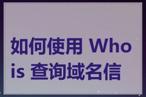 如何使用 Whois 查询域名信息