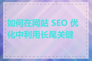 如何在网站 SEO 优化中利用长尾关键词