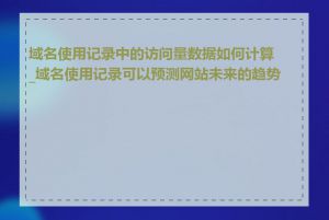 域名使用记录中的访问量数据如何计算_域名使用记录可以预测网站未来的趋势吗