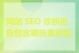 网站 SEO 诊断报告包含哪些重要指标