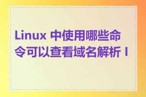 Linux 中使用哪些命令可以查看域名解析 IP