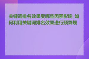 关键词排名效果受哪些因素影响_如何利用关键词排名效果进行预算规划