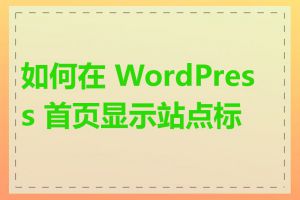 如何在 WordPress 首页显示站点标题