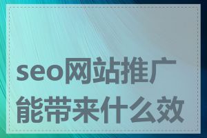 seo网站推广能带来什么效果