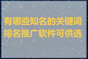 有哪些知名的关键词排名推广软件可供选择