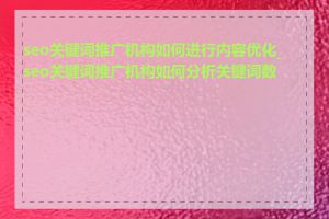 seo关键词推广机构如何进行内容优化_seo关键词推广机构如何分析关键词数据