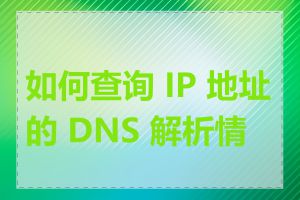 如何查询 IP 地址的 DNS 解析情况