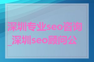 深圳专业seo咨询_深圳seo顾问公司