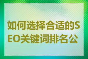 如何选择合适的SEO关键词排名公司