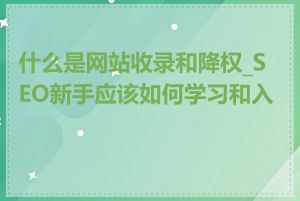 什么是网站收录和降权_SEO新手应该如何学习和入门