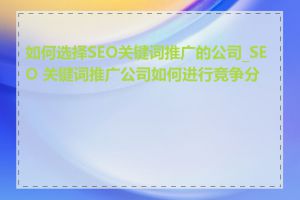 如何选择SEO关键词推广的公司_SEO 关键词推广公司如何进行竞争分析