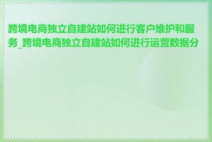 跨境电商独立自建站如何进行客户维护和服务_跨境电商独立自建站如何进行运营数据分析