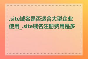 .site域名是否适合大型企业使用_.site域名注册费用是多少