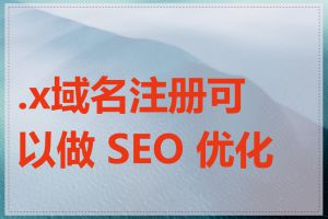 .x域名注册可以做 SEO 优化吗