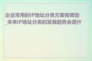 企业常用的IP地址分类方案有哪些_未来IP地址分类的发展趋势会是什么