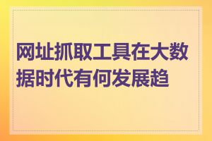 网址抓取工具在大数据时代有何发展趋势