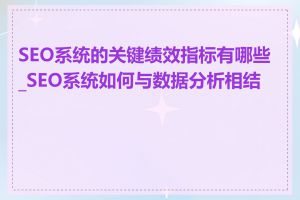 SEO系统的关键绩效指标有哪些_SEO系统如何与数据分析相结合