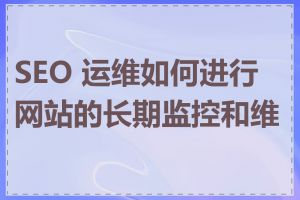 SEO 运维如何进行网站的长期监控和维护