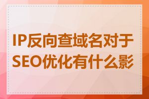 IP反向查域名对于SEO优化有什么影响