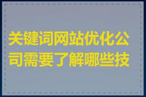 关键词网站优化公司需要了解哪些技术