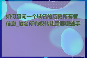 如何查询一个域名的历史所有者信息_域名所有权转让需要哪些手续