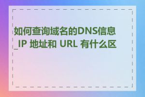 如何查询域名的DNS信息_IP 地址和 URL 有什么区别