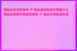 网站安全性检查中 IP 地址查域名的作用是什么_网站空间提供商能否提供 IP 地址对应的域名信息