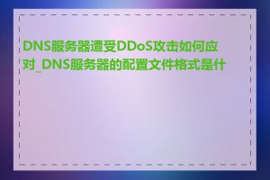 DNS服务器遭受DDoS攻击如何应对_DNS服务器的配置文件格式是什么