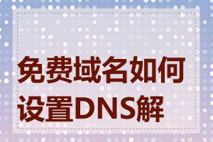 免费域名如何设置DNS解析