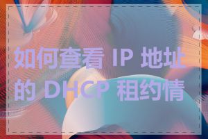 如何查看 IP 地址的 DHCP 租约情况