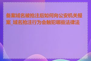 备案域名被抢注后如何向公安机关报案_域名抢注行为会触犯哪些法律法规