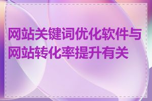 网站关键词优化软件与网站转化率提升有关吗