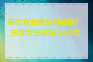 东莞专业建站网站推广_东莞专业建站 SEO优化