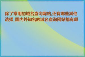 除了常用的域名查询网站,还有哪些其他选择_国内外知名的域名查询网站都有哪些