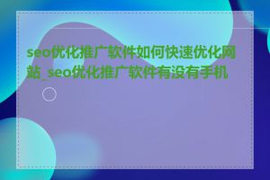 seo优化推广软件如何快速优化网站_seo优化推广软件有没有手机版