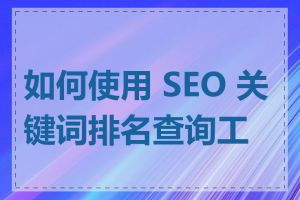 如何使用 SEO 关键词排名查询工具