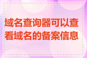 域名查询器可以查看域名的备案信息吗